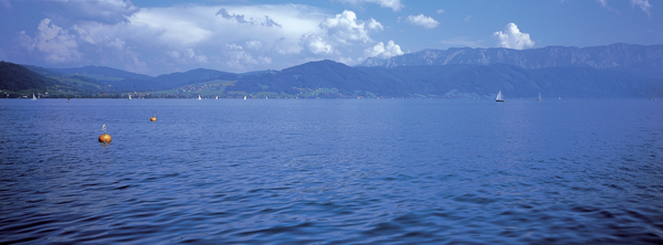 Landschaft am Attersee